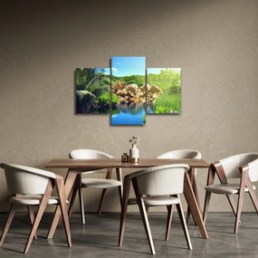 Obraz jazera v Seychelskej džungli (90x60 cm)