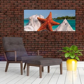 Obraz morskej hviezdice (120x50 cm)