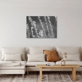 Obraz - Mrazivá zima (70x50 cm)