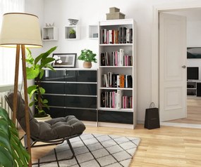 Regál R60 1SZ 4P CLP biely / grafitový lesk