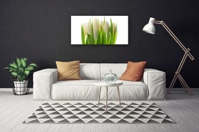 Obraz na plátne Tulipány rastlina príroda 125x50 cm