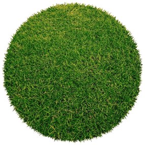 Europe Grass, Umelá tráva Botanic kruh, 400x400 (priemer) kruh, zelená, exteriér