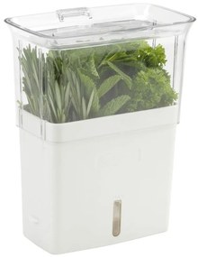 Cole&Mason - Nádoba na uchovanie rezaných byliniek