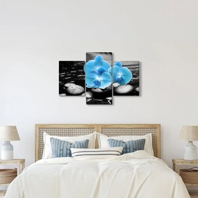 Obraz - Modrá orchidea (90x60 cm)