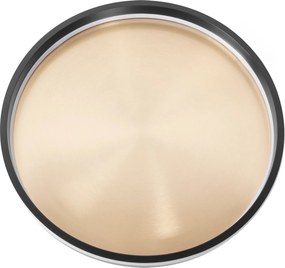 Toolight Toolight, LED stropné svietidlo 40cm, 22W, APP1464, čierna-zlatá, OSW-07981