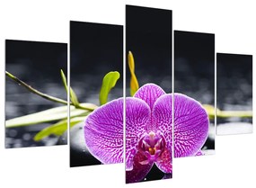 Obraz orchidee (150x105 cm)