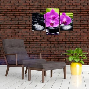 Obraz - Orchidey (90x60 cm)
