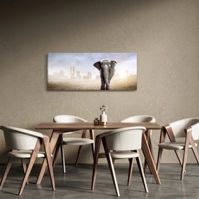 Obraz - Sloníčka vo veľkomeste (120x50 cm)