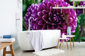 Samolepiaca fototapeta nádherný fialový kvet - 450x300