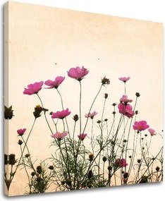 Obraz na stenu KVETY KV011E12 - 30x30 cm