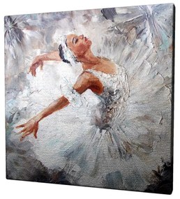 Obraz na plátne White swan KC012 45x45 cm