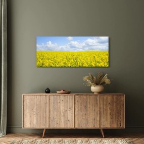 Obraz žltého poľa (120x50 cm)