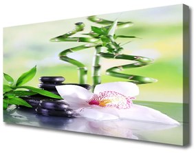 Obraz Canvas Orchidea bambus zen kúpele 100x50 cm