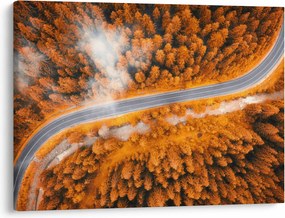 Obraz - Horská cesta (70x50 cm)