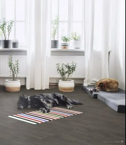 Oriental Weavers, PRE ZVIERATÁ: Prateľný Laos 42/999X, 55x85, viacfarebná, chodba / predsieň