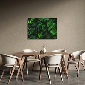 Sklenený obraz listov Monstery (70x50 cm)