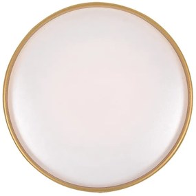 Rabalux 71141 - LED stmievateľné stropné svietidlo GANDOR LED/24W/230V 3000-6500K