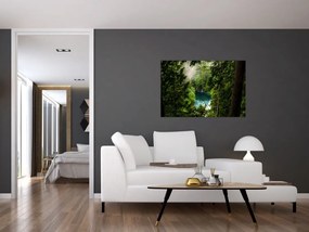 Obraz - Priezor medzi stromami (90x60 cm)