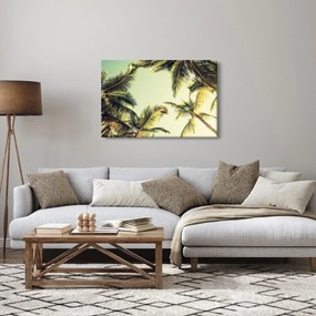 Obraz s kokosovými palmami (90x60 cm)