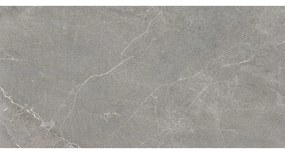 Wermex Light Grey 59,8/119,8