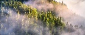 Obraz horskej krajiny (120x50 cm)