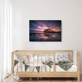 Obraz stromu na pláži (90x60 cm)
