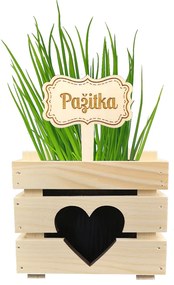 AMADEA Drevený zápich - ceduľka na bylinky Pažítka, výška 20 cm, český výrobok