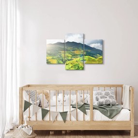 Obraz plantáže (90x60 cm)