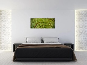 Obraz - Papraď (120x50 cm)