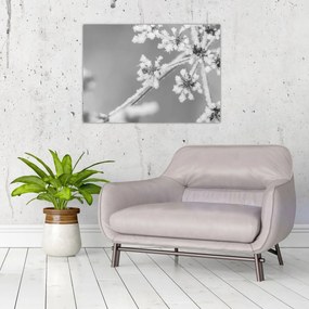Obraz - Zamrznutá rastlina (70x50 cm)