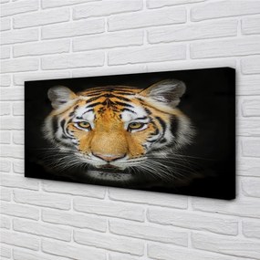Obraz na plátne tiger 100x50 cm