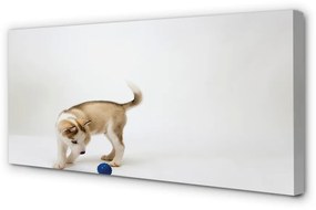 Obraz na plátne Hrať s tým psom 140x70 cm