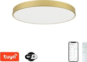 Brilagi - LED stmievateľné svietidlo POOL SMART LED/100W/230V 80 cm zlaté Wi-Fi Tuya+DO