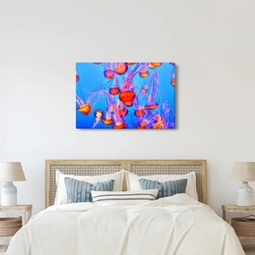 Obraz medúz v mori (90x60 cm)