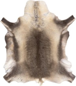 Koberec RENIFER POK012 PREMIUM sivý / béžový