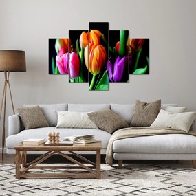 Obraz tulipánov na čiernom pozadí (150x105 cm)