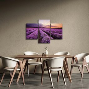 Obraz - Levanduľové pole pri západe slnka (90x60 cm)