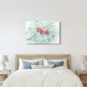 Obraz zmrznutých šípok (90x60 cm)