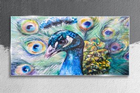 Skleneny obraz Maľovanie zvieracie vták páv