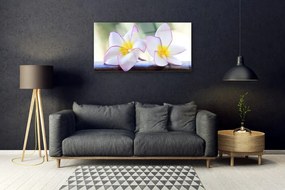 Skleneny obraz Kvety plátky plumérie 125x50 cm