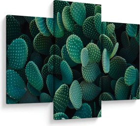 Obraz - Opuncie (90x60 cm)