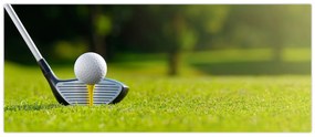 Obraz - Golf (120x50 cm)