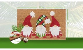 Rohožka s vianočným motívom z kokosového vlákna 45x75 cm – Hanse Home
