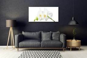 Skleneny obraz Plátky kvet bíla orchidea 100x50 cm