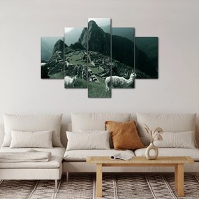 Obraz - Lamy na Machu Picchu v Peru (150x105 cm)