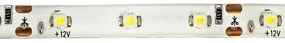 ECOLIGHT LED pásik - SMD 2835 - 5m - 60LED/m - 4,8 W/m - IP65 - studená biela