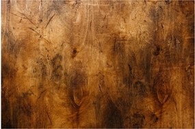 Obraz - Detail dreva (90x60 cm)