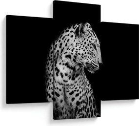Obraz - Leopard (90x60 cm)