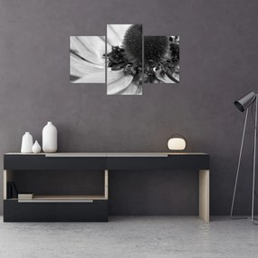 Obraz - Kvetina v čiernobielej (90x60 cm)