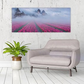 Obraz - Krajina s tulipánovými poľami (120x50 cm)